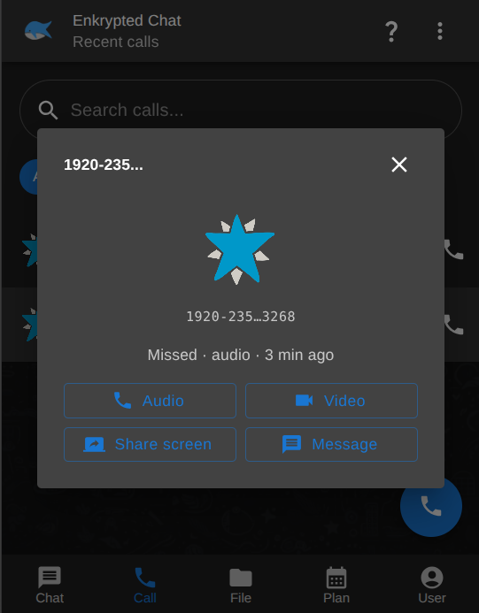 Call type options: audio, video, share screen, message